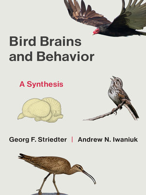 cover image of Bird Brains and Behavior